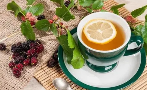 桑葉茶禁忌 桑葉茶禁忌