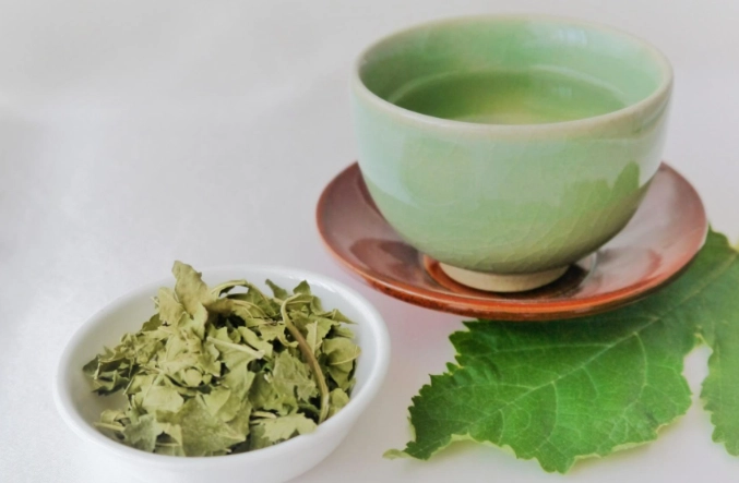 桑葉茶副作用 桑葉茶副作用