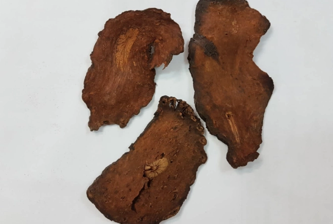 何首烏禁忌 何首烏禁忌