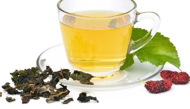 桑葉茶壞處 桑葉茶壞處