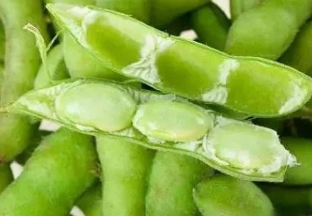 毛豆熱量計算 毛豆熱量計算