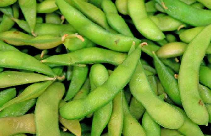 毛豆熱量 毛豆熱量