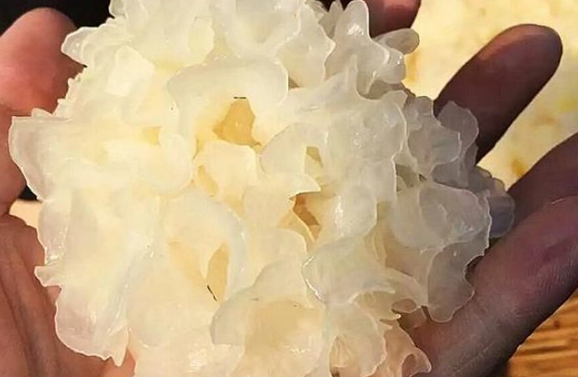 雪耳食用禁忌 雪耳食用禁忌