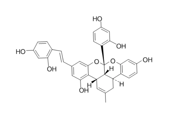 桑酮功效 桑酮功效