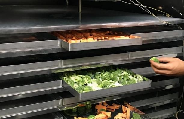 食物乾燥機 推薦 新手 食物乾燥機 推薦 新手