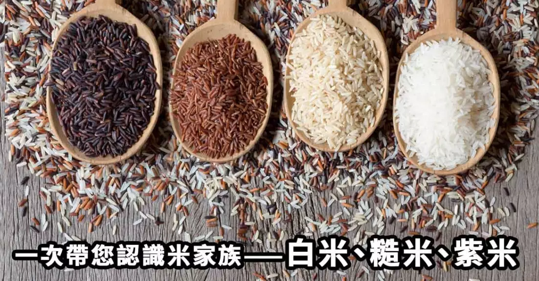 紅米飯煮法 紅米飯煮法