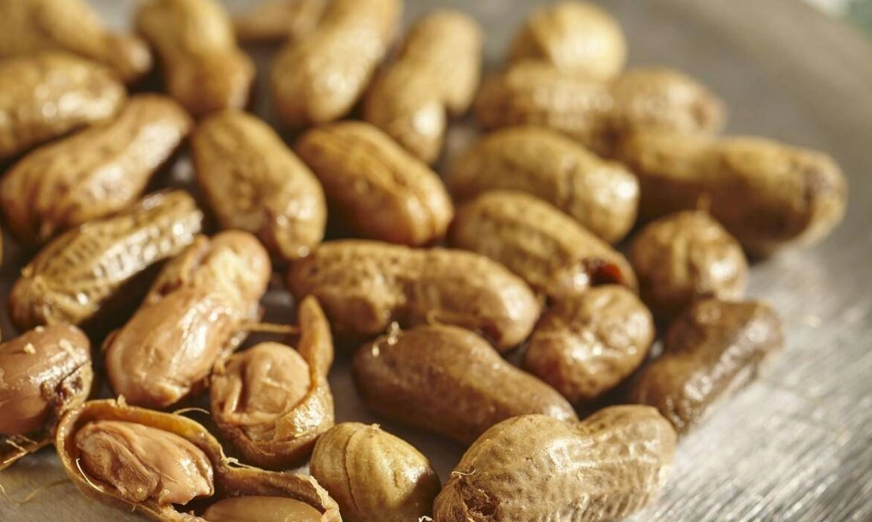 冰箱食物保存 冰箱食物保存