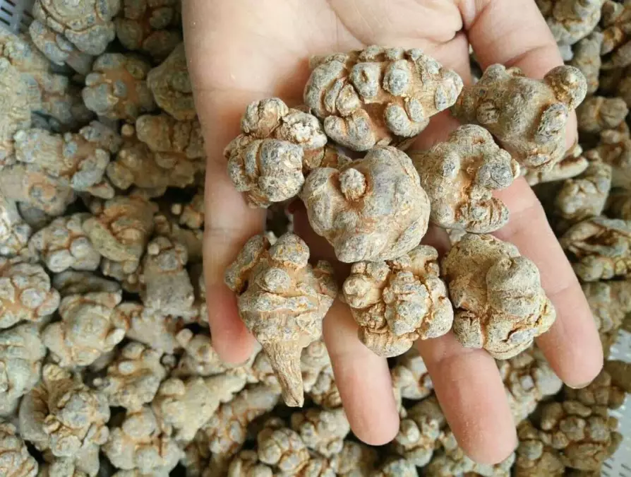 三七粉怎麼吃 三七粉怎麼吃