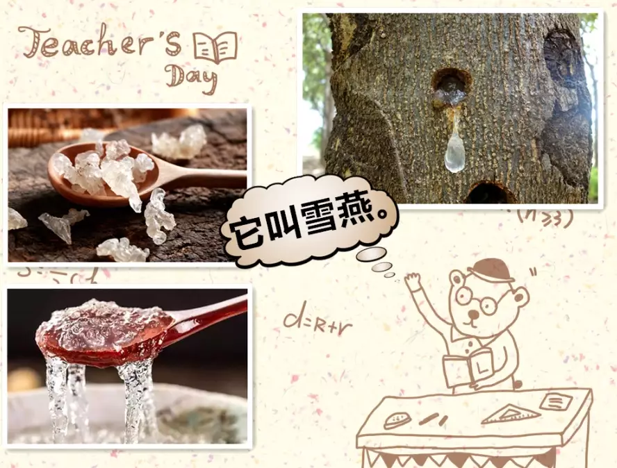 雪燕食用方法 雪燕食用方法