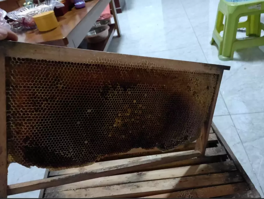 蜂蠟使用注意事項 蜂蠟使用注意事項