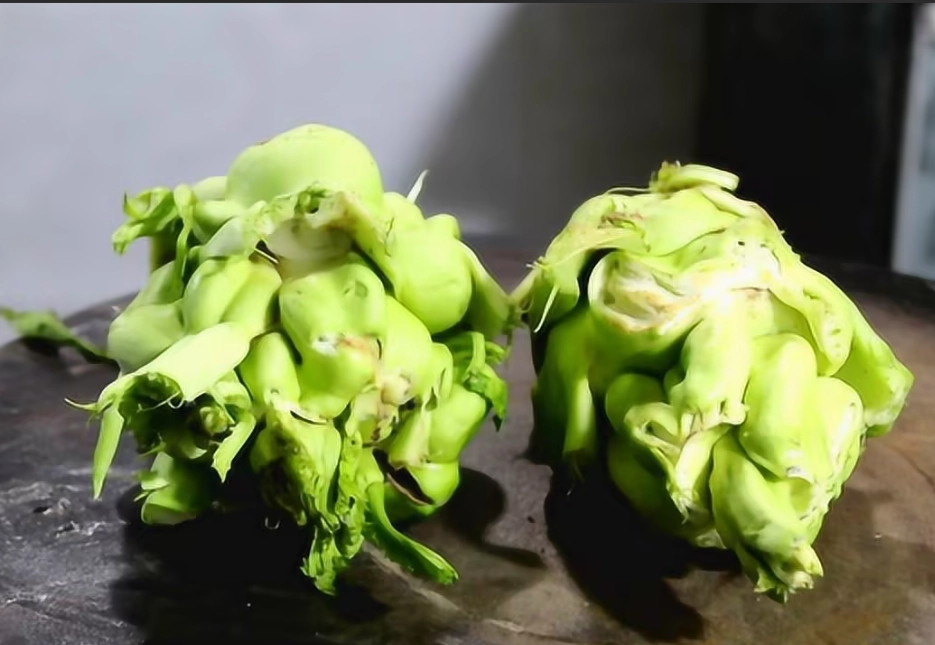 自製榨菜 自製榨菜