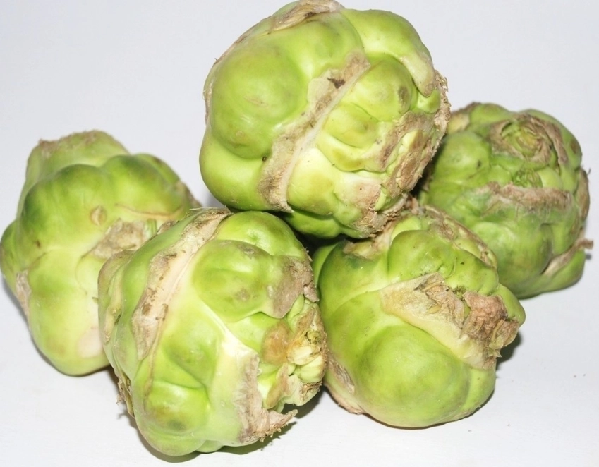 酸菜 榨菜 區別 酸菜 榨菜 區別