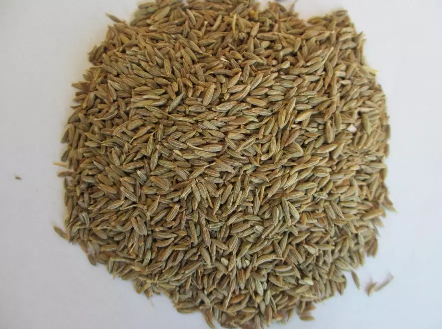 孜然粉食譜 孜然粉食譜