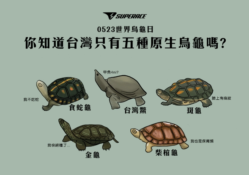 烏龜呼吸急促原因 烏龜呼吸急促原因