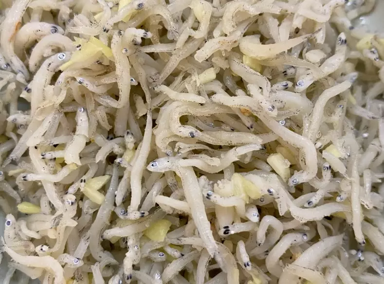 吻仔魚 食用禁忌 吻仔魚 食用禁忌