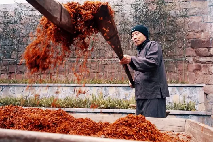 自製榨菜食譜 自製榨菜食譜