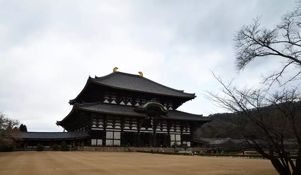 奈良自由行 奈良自由行