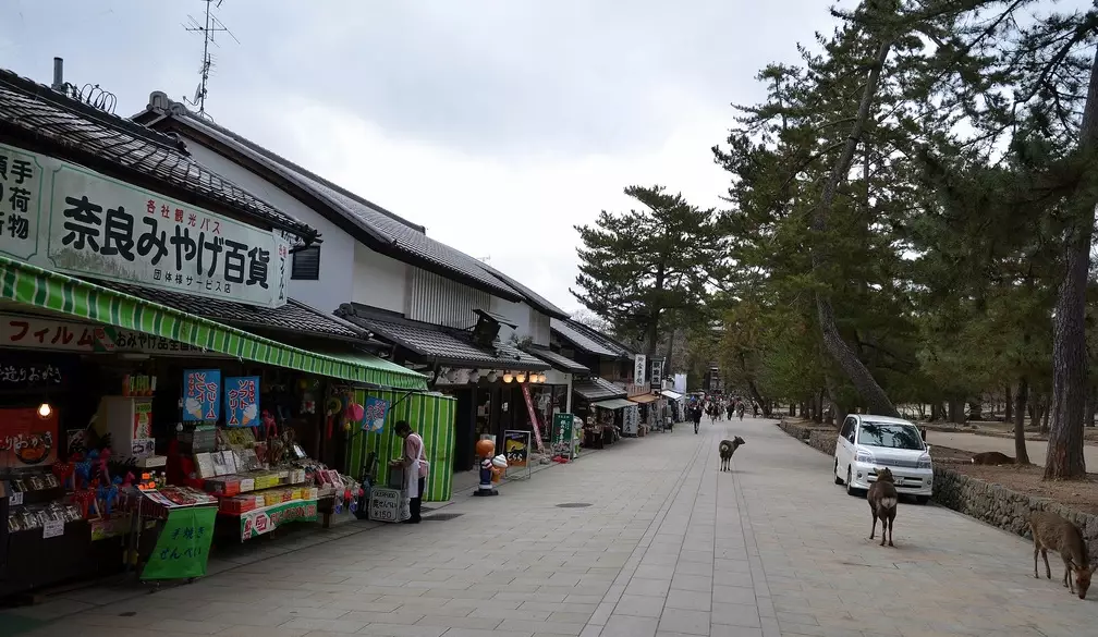 奈良一日遊