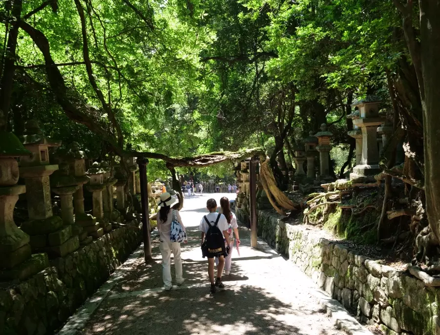 奈良旅遊攻略 奈良旅遊攻略