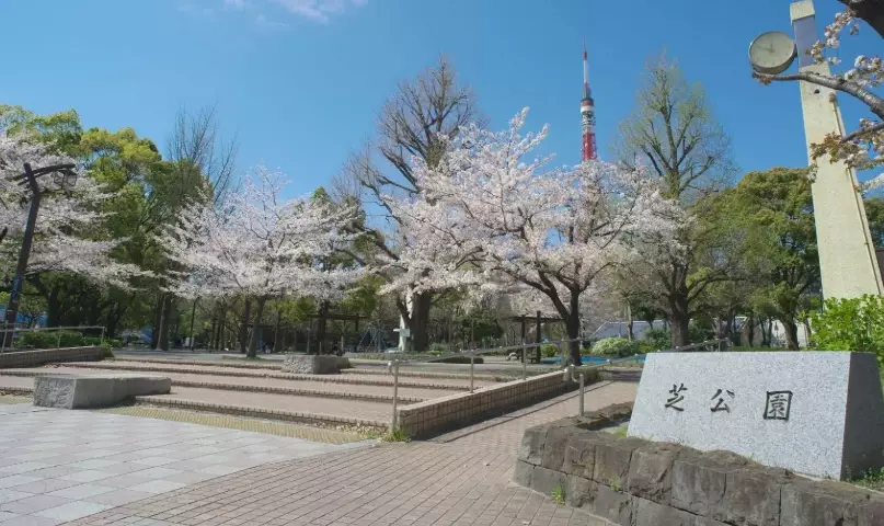 六本木交通方式 六本木交通方式