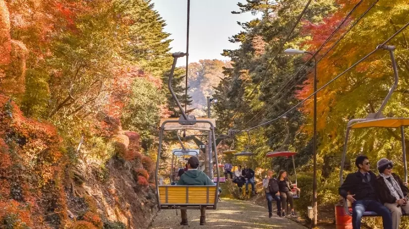 高尾山登山路線 高尾山登山路線