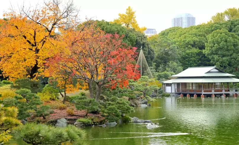 清澄庭園 紅葉 清澄庭園 紅葉