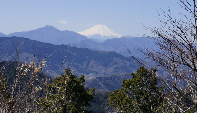 高尾山交通 高尾山交通