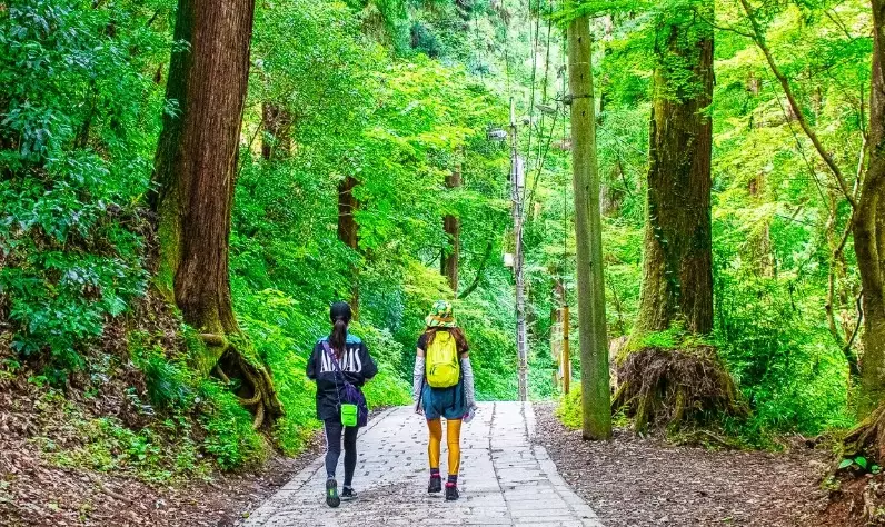高尾山一日遊 高尾山一日遊