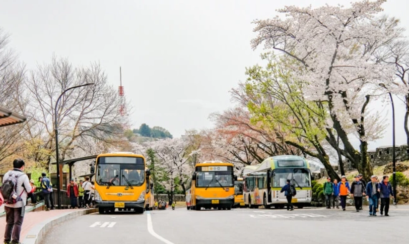 南山纜車交通 南山纜車交通
