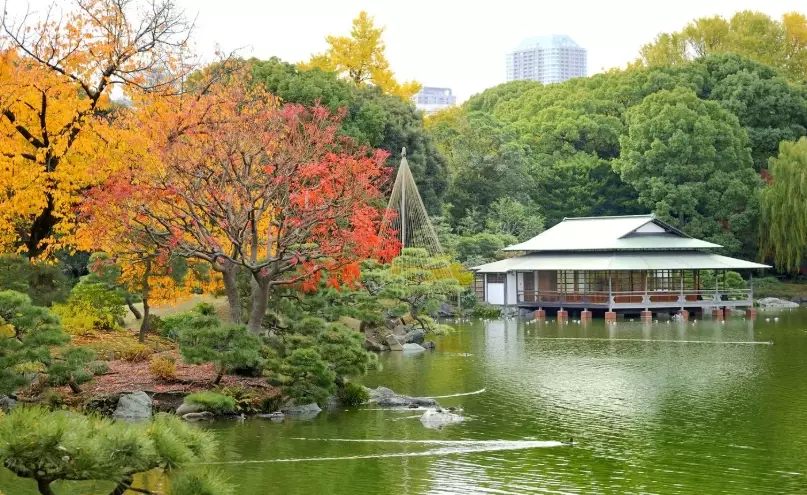 東京庭園交通 東京庭園交通