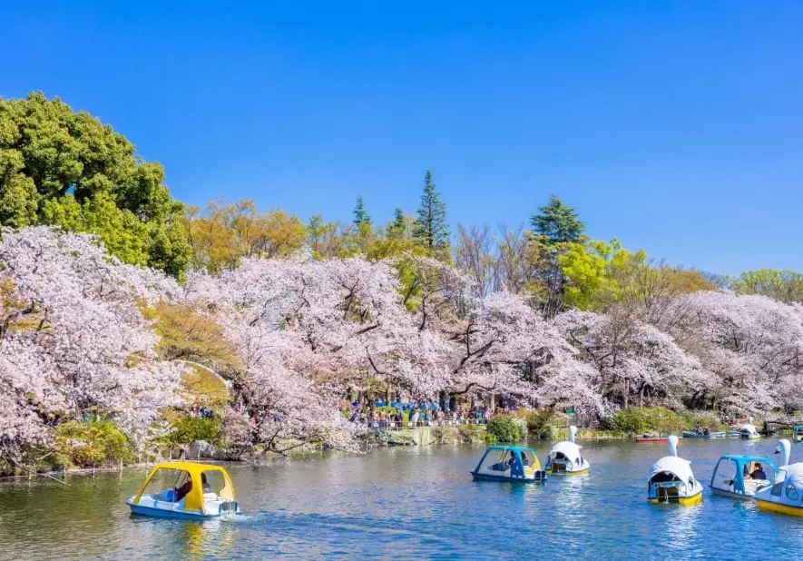 東京隱藏景點 東京隱藏景點