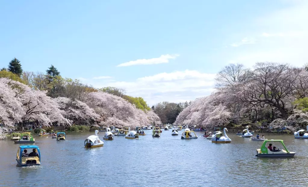 東京深度旅遊 東京深度旅遊