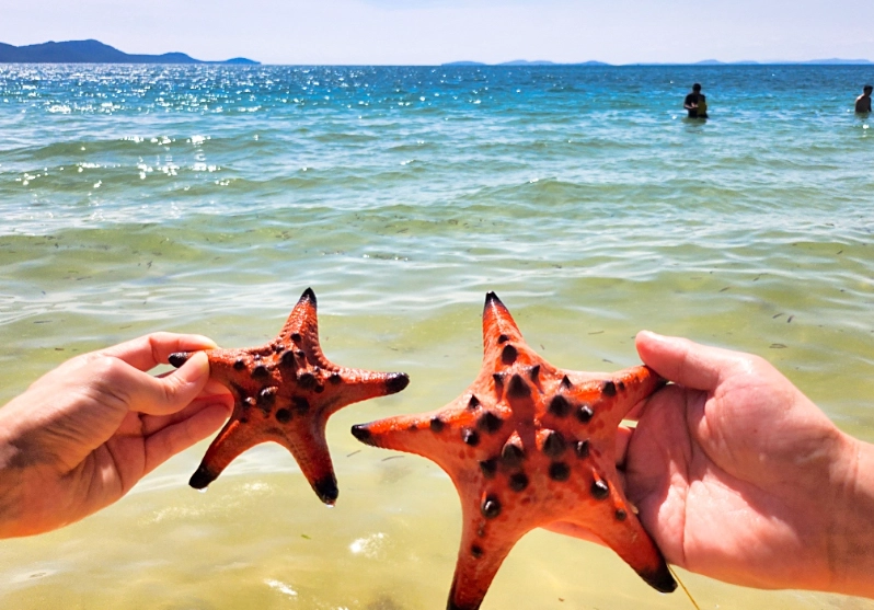 富國島海星沙灘 富國島海星沙灘