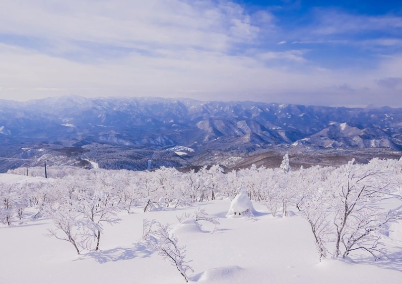 秋田 冬天 景點 秋田 冬天 景點