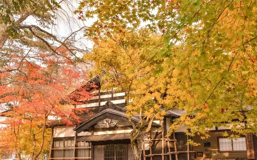 秋田 冬天 景點 秋田 冬天 景點