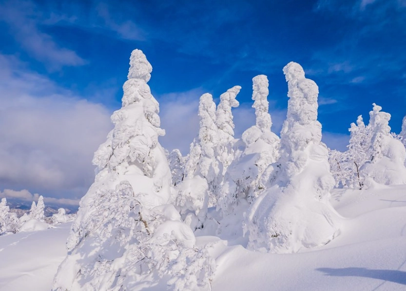 秋田 樹冰 秋田 樹冰