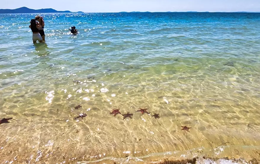 Starfish Beach Taiwan Starfish Beach Taiwan