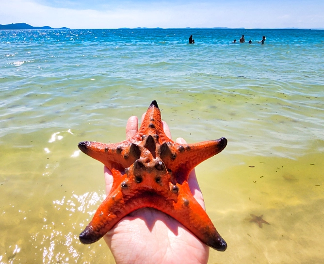 富國島海星沙灘 富國島海星沙灘