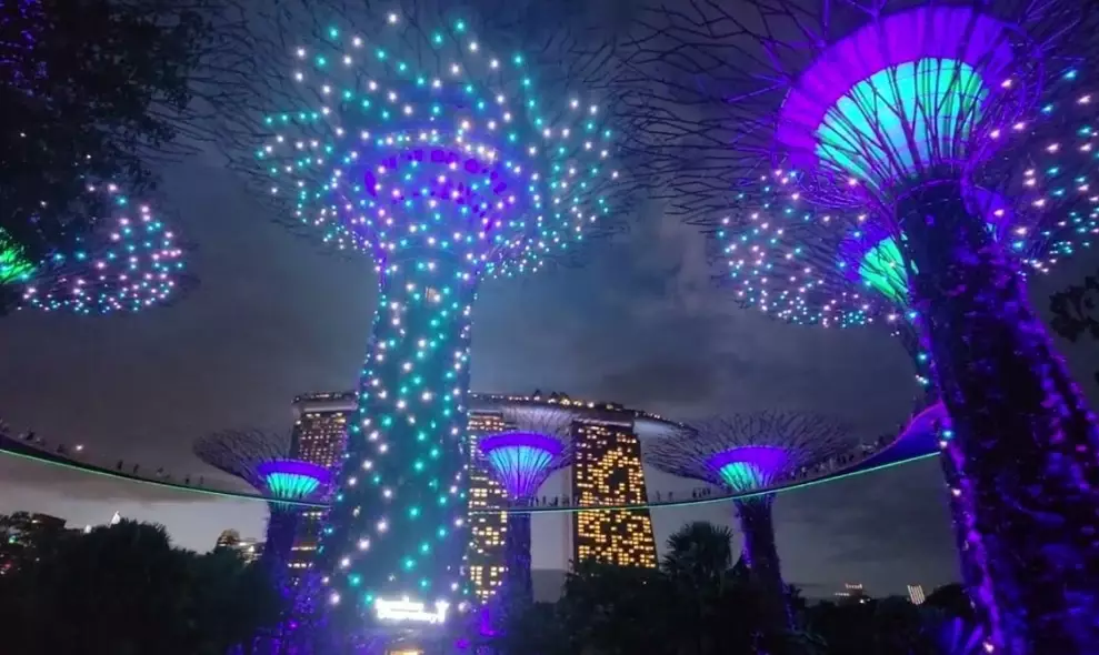 濱海灣花園燈光秀時間 濱海灣花園燈光秀時間