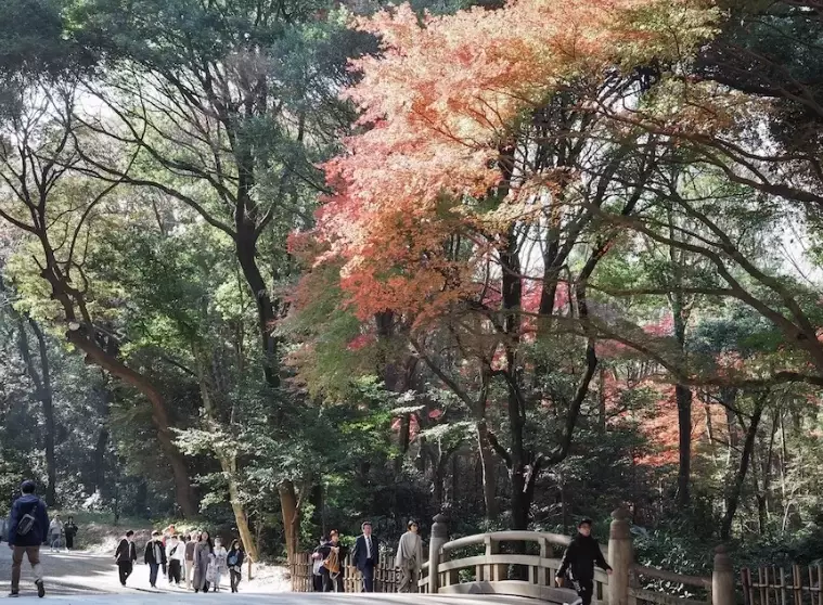 明治神宮參拜