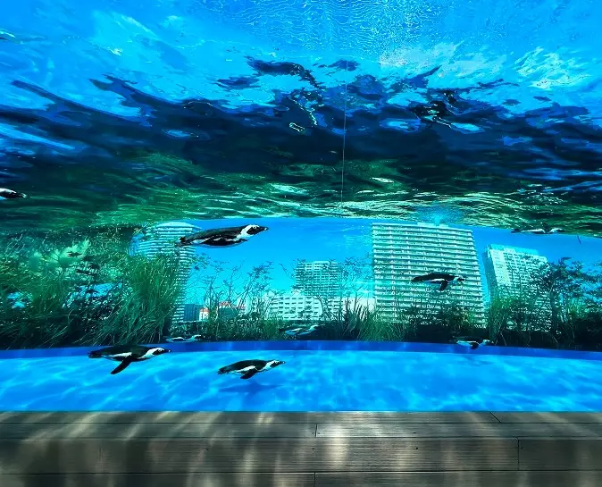 台北水族館優惠 台北水族館優惠