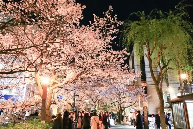 白川夜景 白川夜景