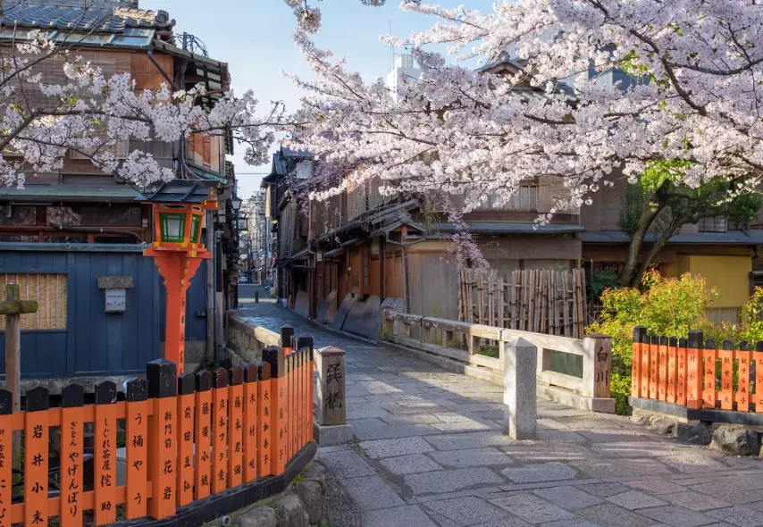 祇園白川散步 祇園白川散步