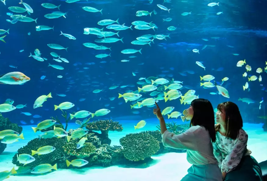 台北水族館優惠 台北水族館優惠