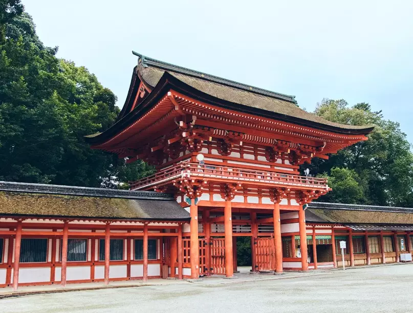 京都白川通散步 京都白川通散步