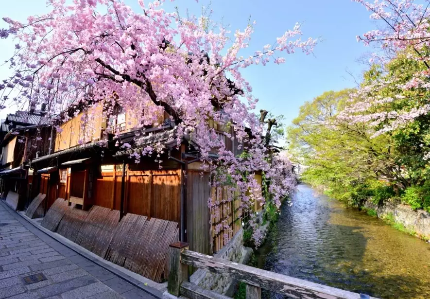 京都祇園旅遊