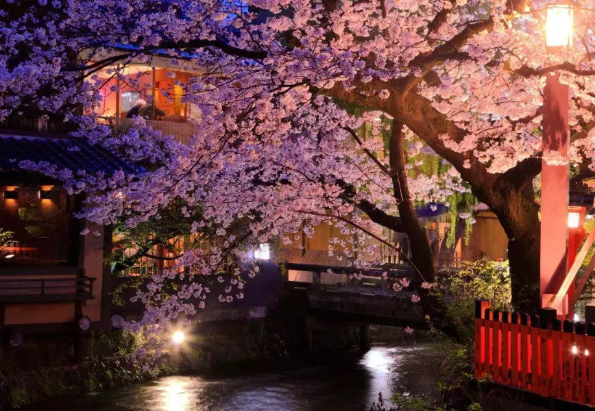花見小路景點