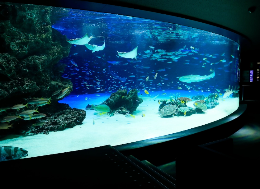 陽光水族館門票 陽光水族館門票