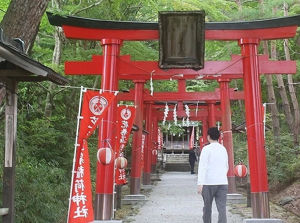 花卷旅遊 花卷旅遊