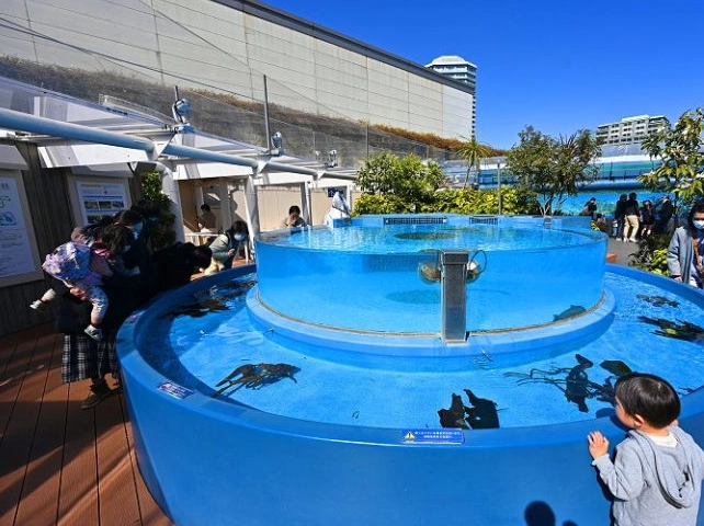 陽光水族館 評論 陽光水族館 評論